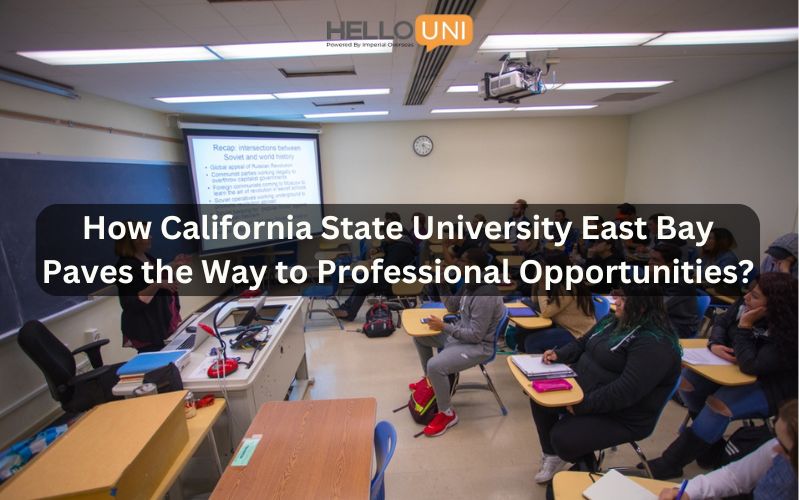 How Internships Paves the Way to Professional Opportunities at California State University East Bay?
