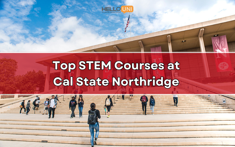 Top STEM Courses at California State University Northridge for Aspiring Engineers