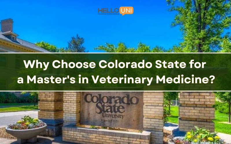 Why Colorado State University is a Top Destination for a Master’s in Veterinary Medicine?