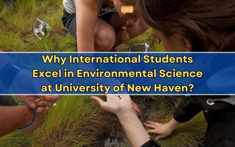 Why is the University of New Haven an Excellent Choice for International Students in Environmental Science?