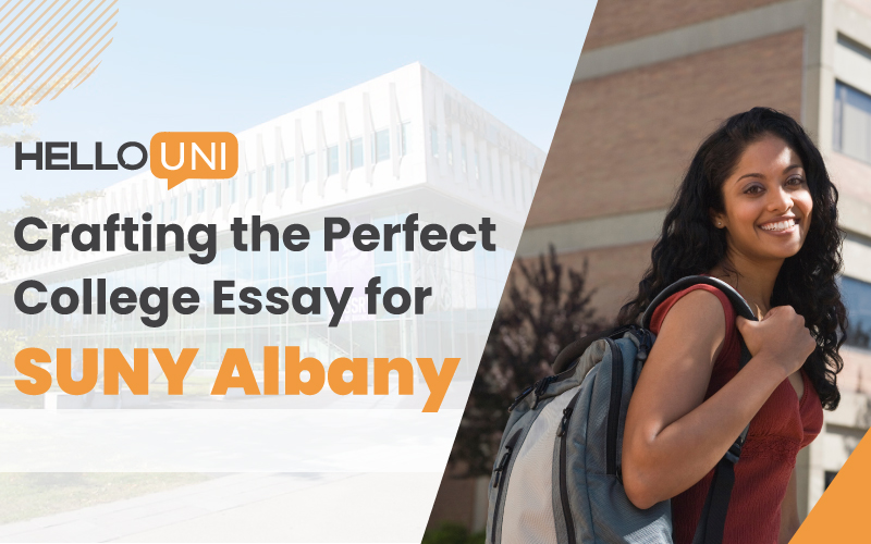 College Essay for SUNY Albany