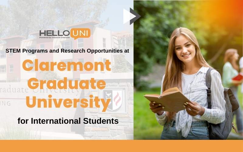 University for International Students