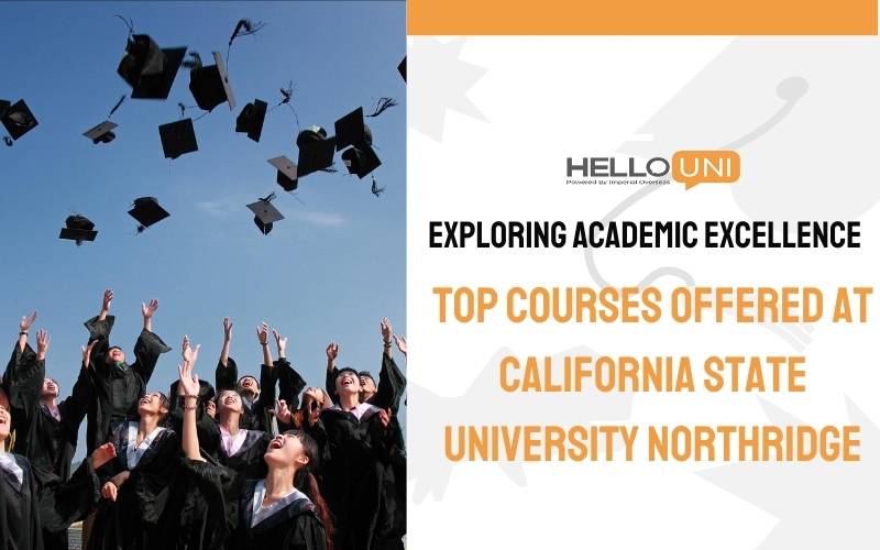 Exploring Academic Excellence: Top Courses Offered at California State University, Northridge