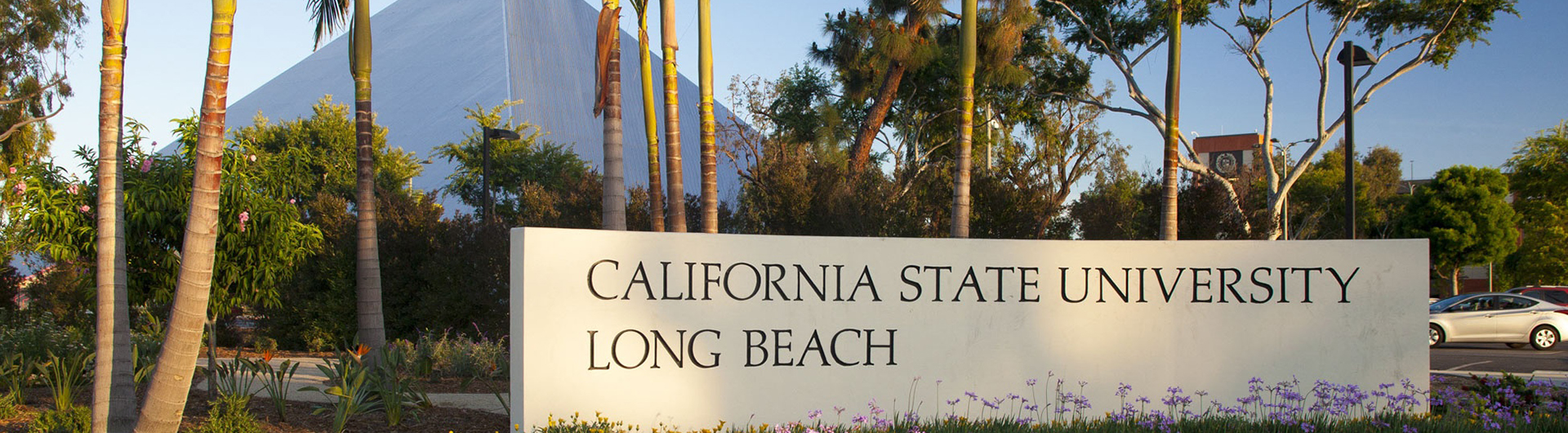 California State University Long beach